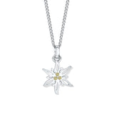 Simone small edelweiss  pendant