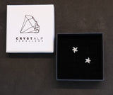 Starfish Small Pin Earrings